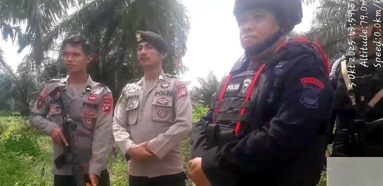 Heboh! LP.K-P-K Menyoroti Brimob Bersenjata Lengkap Jaga Panen Sawit Milik PT. Pasangkayu ft01