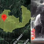 LP.K-P-K SULBAR Ungkap Dugaan Pelanggaran Berat PT. Pasangkayu Diduga Puluhan Tahun Tanam Sawit di Luar HGU.